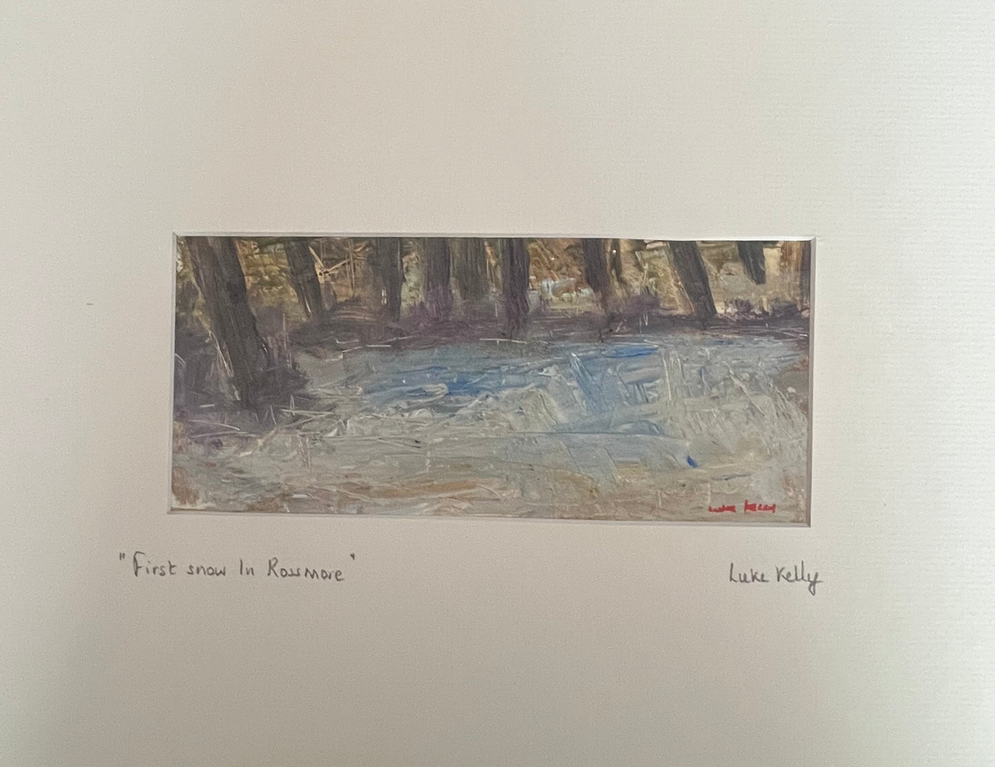 First Snow in Rossmore Park