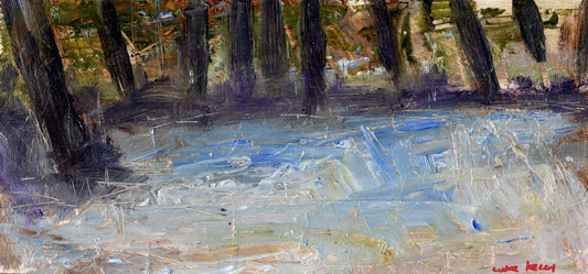 First Snow in Rossmore Park